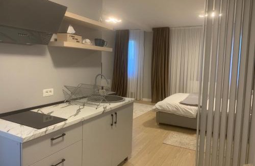 Tirgu Jiu Apartamento | EM05- Studio Premium