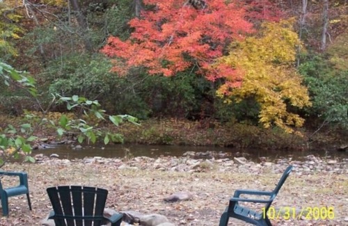 Chatsworth Cabina | Emerson's Cabin at Dennis Mill