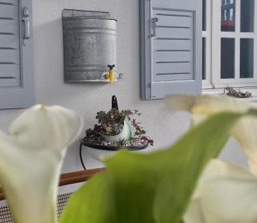Ano Siros Apartamento | Emilia's Guest House