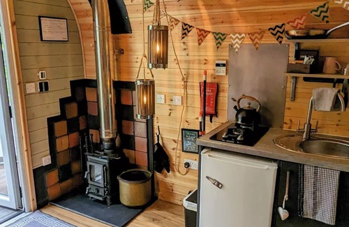 Gwespyr Cabina | Emlyn's Coppice - Woodland Glamping