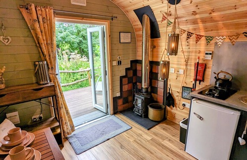 Gwespyr Cabina | Emlyn's Coppice - Woodland Glamping
