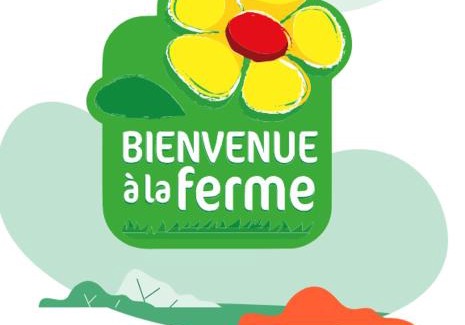 Barbentane Otro | Emplacement camping car chez agriculteur branchement électrique