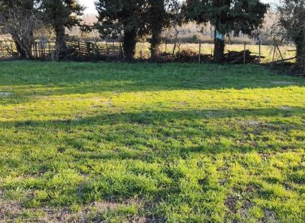 Barbentane Otro | Emplacement camping car chez agriculteur branchement électrique
