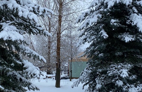 Rigby Cabina | Enchanting 1-bedroom Yurt "Here We Have Idaho" in Ririe, sleeps 4