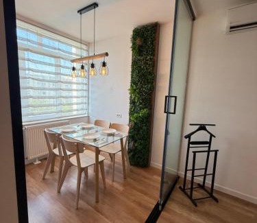 Oradea Apartamento | ENE Studio