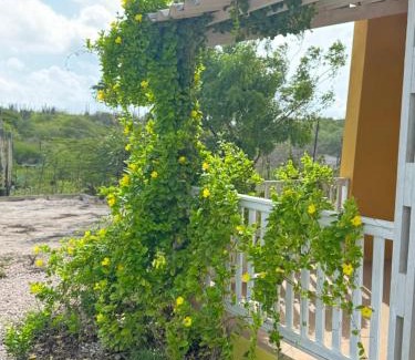 Curacao Casa | Energia di Trupial