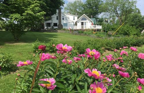 Newfield Cama Y Desayuno | Enfield Manor Bed&Breakfast and Vacation Rental