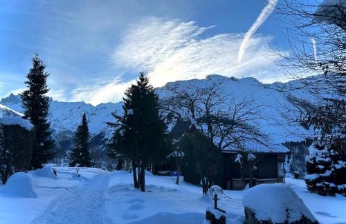 Engelberg Chalet De Esquí | Engelberg, Renovated Chalet in Wonderful Location