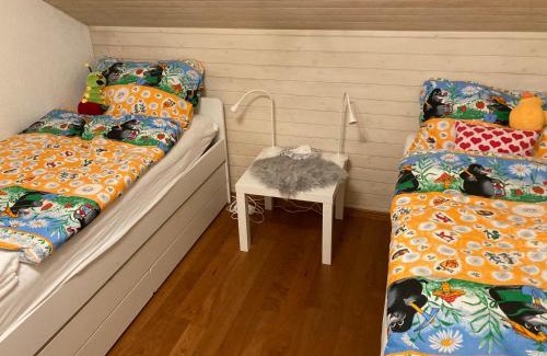 Engelberg Chalet De Esquí | Engelberg, Renovated Chalet in Wonderful Location