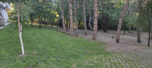 Chisinau Apartamento | English Breakfast
