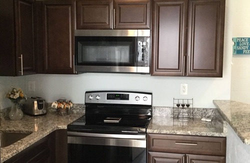 Port Richey Casa | ❤️English Tudor Guest House fenced yard BRING PET! Mini Donkey to pet❤️ MAY SALE!