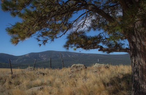 Angel Fire Casa | ¡Disfruta de un Get-A-Way @Esta acogedora cabaña en Black Lake NM!