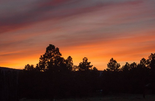 Angel Fire Casa | ¡Disfruta de un Get-A-Way @Esta acogedora cabaña en Black Lake NM!