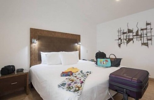 San José Hotel | Enjoy Bird-Watching at Parque España! Spacious Unit, Pet-friendly & FREE Parking