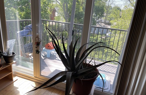 Salem Apartamento | Enjoy New England.. Historical places and water activities