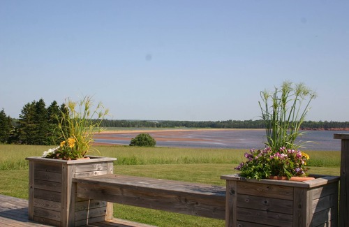 Red House Cabaña | Enjoy some peace and quiet with scenic view!