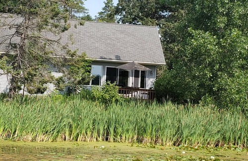 Pillager Cabina | Enjoy the Fall Colors from our "Lake Home", perfect spot for a quiet retreat