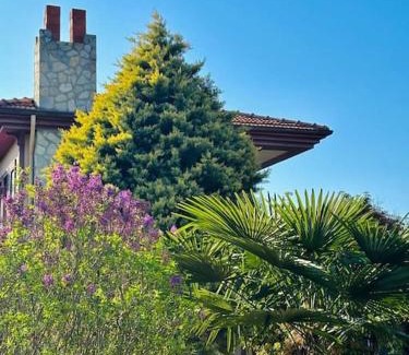 Agva Apartamento | Enjoy the Riverside! Agva Secret Yard