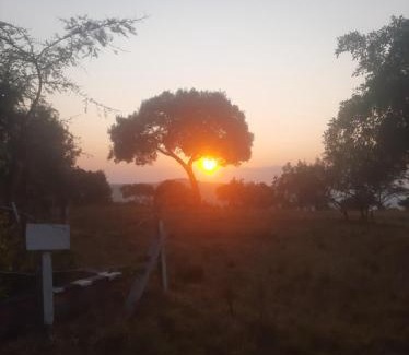 Mara North Conservancy Otro | Enkereri Camp Maasai Mara
