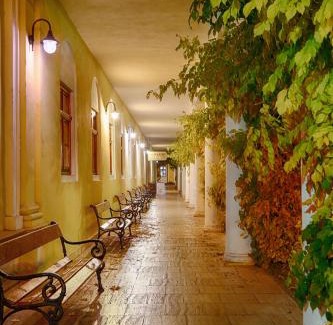 Piestany Hotel | Ensana Pro Patria