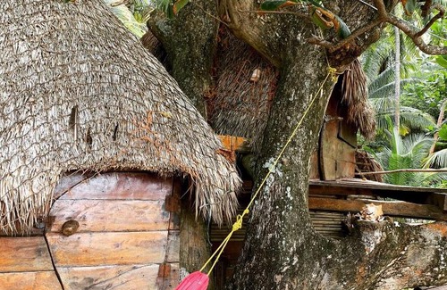 Little Corn Island Casa | ENSUEÑOS NATURAL RESERVE Little Corn Island Nicaragua