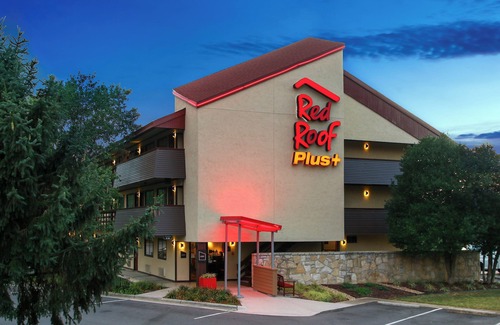 Statesville Apartamento | Ensuring a Very Comfortable & Memorable Stay! Pet-friendly, Free Parking!
