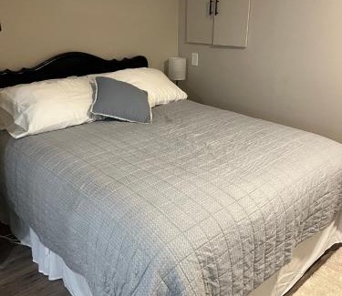 East Kootenay Apartamento | Entire Basement Guest Suite In Cranbrook