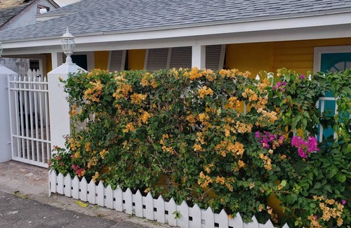Nassau Cabaña | Entire Cottage near beach and Downtown