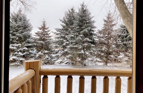 Oglesby Cabina | Entire Cozy Villa 2 min Near Starved Rock!