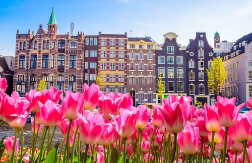 Municipality of Oostzaan Casa | ENTIRE HOUSE WITH PVT GARDEN & HEATED POOL - MINUTES FROM AMSTERDAM CENTRAL