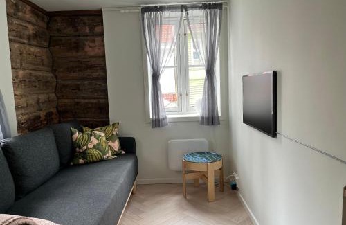 Bergenhus Apartamento | Entire renovated apartment from 1780 with Kitchen, Bath, Bedroom, and Living Room in Skuteviken