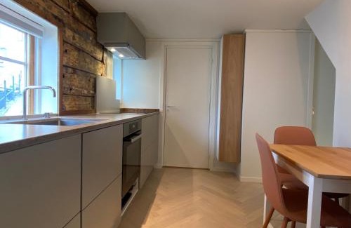 Bergenhus Apartamento | Entire renovated apartment from 1780 with Kitchen, Bath, Bedroom, and Living Room in Skuteviken