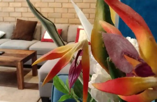 Narasapura Apartamento | Entire villa Near Airport, Bangalore
