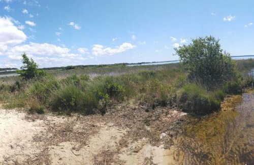 Naujac-Sur-Mer Casa | ENTRE LAC ET OCEAN SPACIEUSE ET CALME