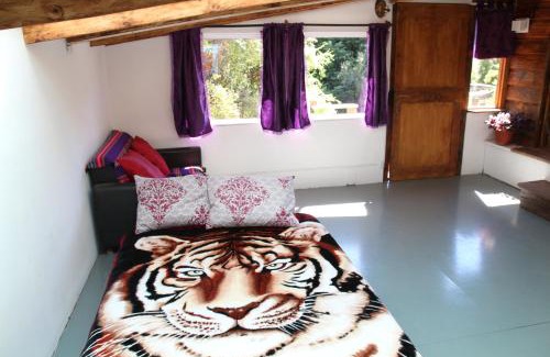 Villa Los Coihues Apartamento | Entre Lagos y Montañas
