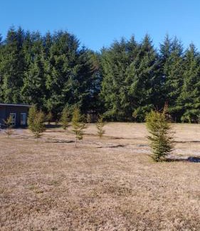 Loncoche Apartamento | Entre Ruta 5 Sur y Villarrica