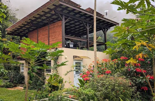 Vivi Abajo Apartamento | Epic Mountaintop Jungle Casita Adventure
