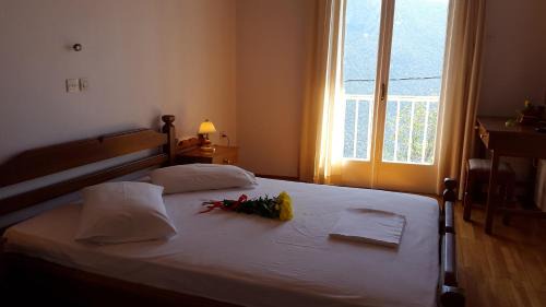 Delphi Casa | Epic Rooms
