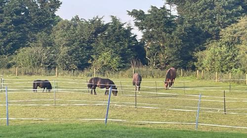 Mablethorpe Casa | Equestrian Retreat - Sleeps 6 & Bbq