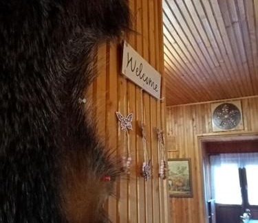 Haromhuta Casa | Erdei Szalonka Vendégház