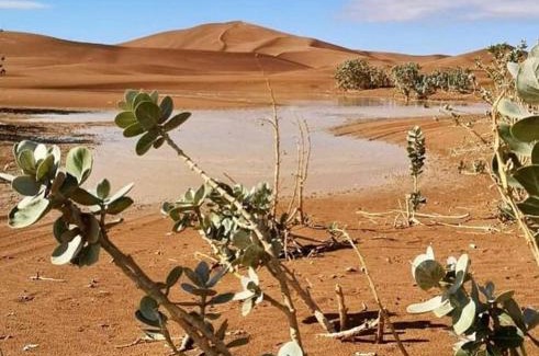 El Gouera Otro | Erg Chigaga Camp Tours