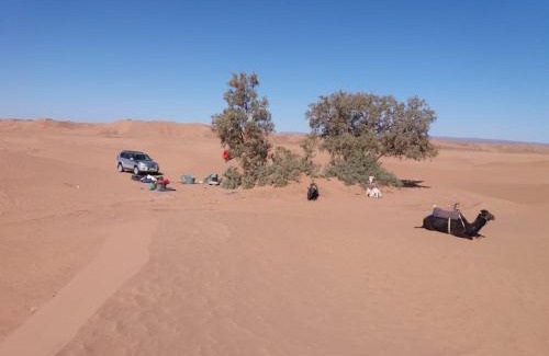 M'Hamid El Ghizlane Otro | Erg Lihoudi Dunes & Bivouac