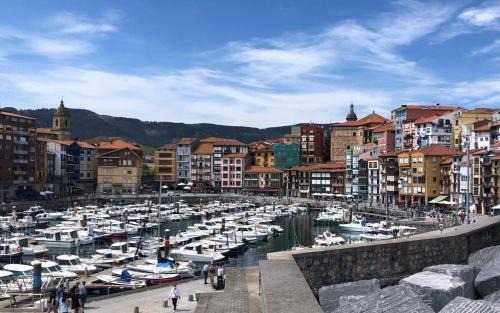 Bermeo Apartamento | Erribera Bermeo