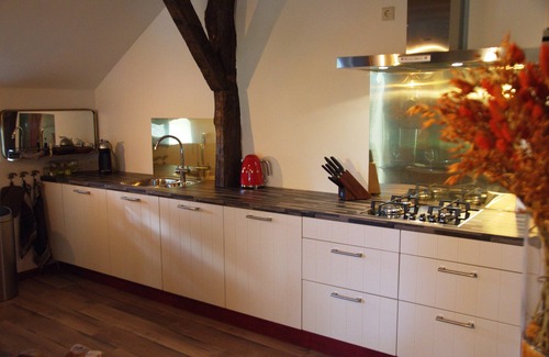 Jipsinghuizen Apartamento | Erve Leusingh - Luxuriously furnished Apartment - Unobstructed view over the nature reserve