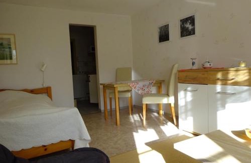 Neuhausen Apartamento | Erzgebirgsdomizil am Schwartenberg