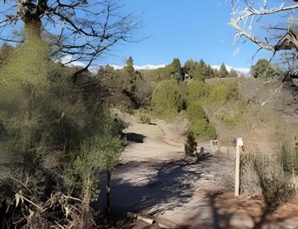 San Martín de los Andes Casa | Escapada en pareja en un rincón del bosque