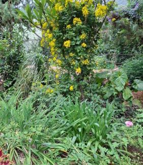 Kanthalloor Casa | Escape Natural Farm Stay - Cave 2