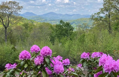 Boone Casa | Escape to Blue Ridge