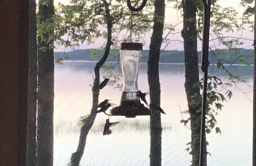 Squaw Lake Cabina | Escape to cozy, secluded lakefront cabin in the north woods