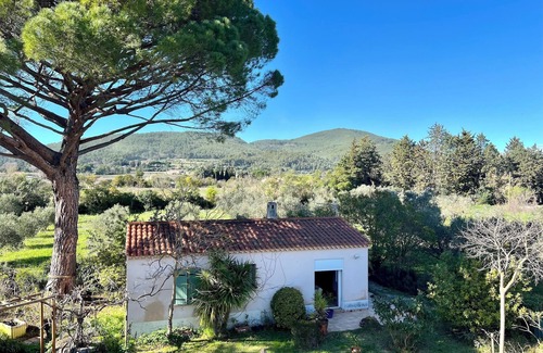 Cuers Casa | Escape to Provence: a charming cottage in the heart of olive groves